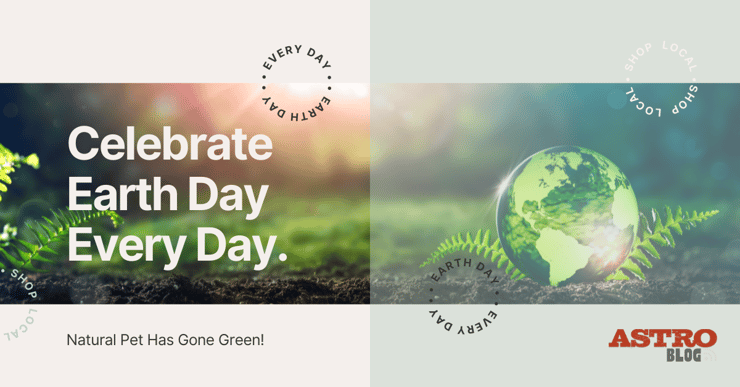 BLOG  Celebrate Earth Day Every Day_Title