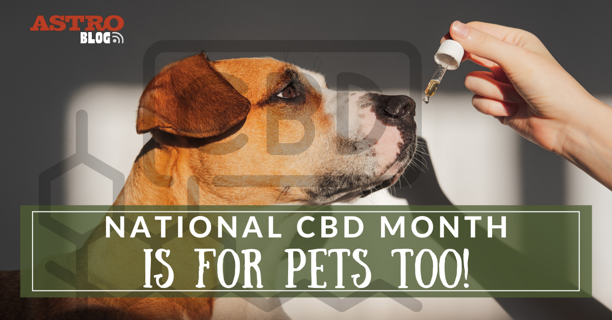 Blog  National CBD Month is for Pets Too!