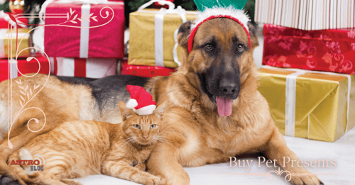 Blog - Our Pets & The Holiday Season_Buy Pet Presents-1