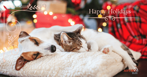 Blog - Our Pets & The Holiday Season_Happy Holidays