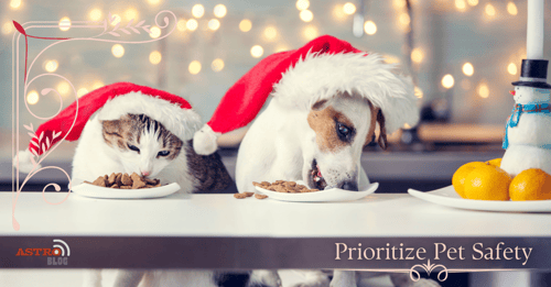 Blog - Our Pets & The Holiday Season_Prioritize Pet Safety