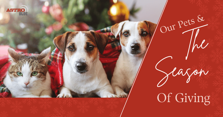 Blog - Our Pets & The Season of Giving