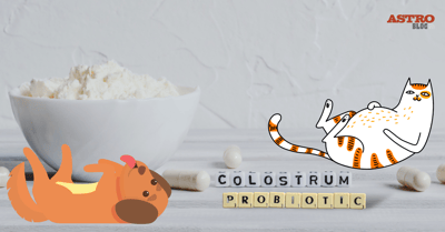 Colostrum & Probiotic 