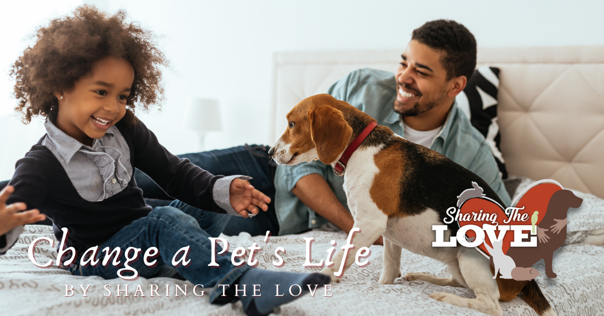 January Pet Holidays_Change a Pets Life by Sharing the Love