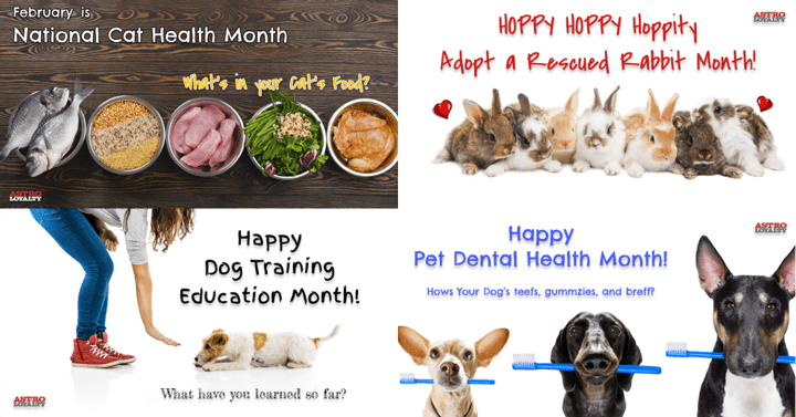 Promotion Calendar & Marketing Materials | FEBRUARY'S On-Going Holidays