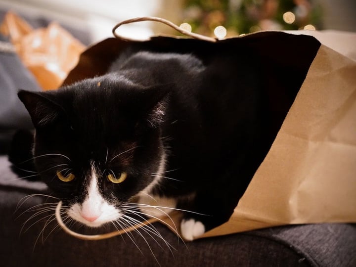 Black Friday: Shopping Local is Shopping Smart