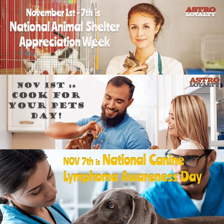 Promotion Calendar & Marketing Materials | NOV Week 1