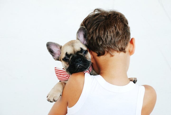 Children and Pets: The Perfect Match