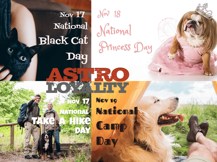 Promotion Calendar & Marketing Materials | NOV Week 3