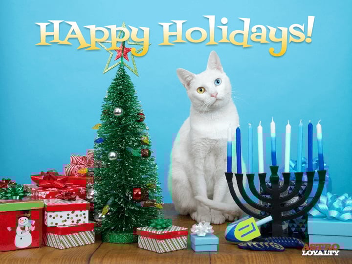 Promotion Calendar & Marketing Materials | DECEMBER