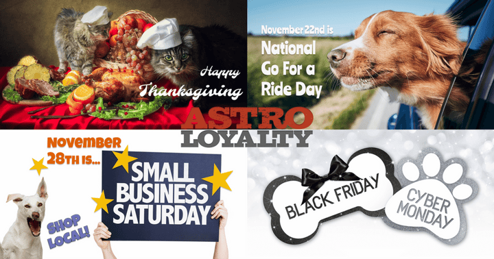 Promotion Calendar & Marketing Materials | NOV Week 4