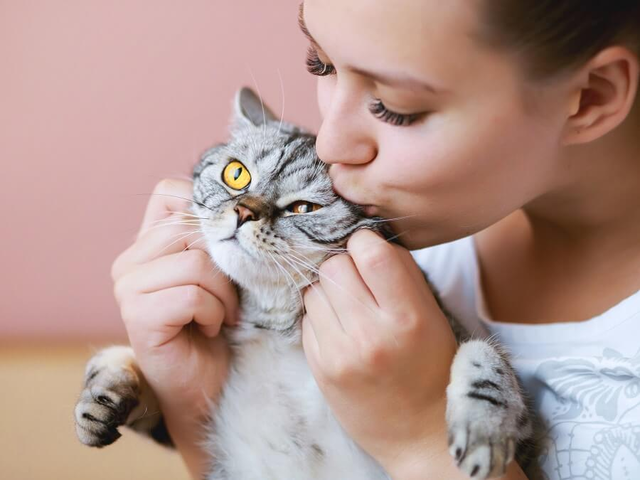 Loving Cats a Little Extra to Wrap Up the Year