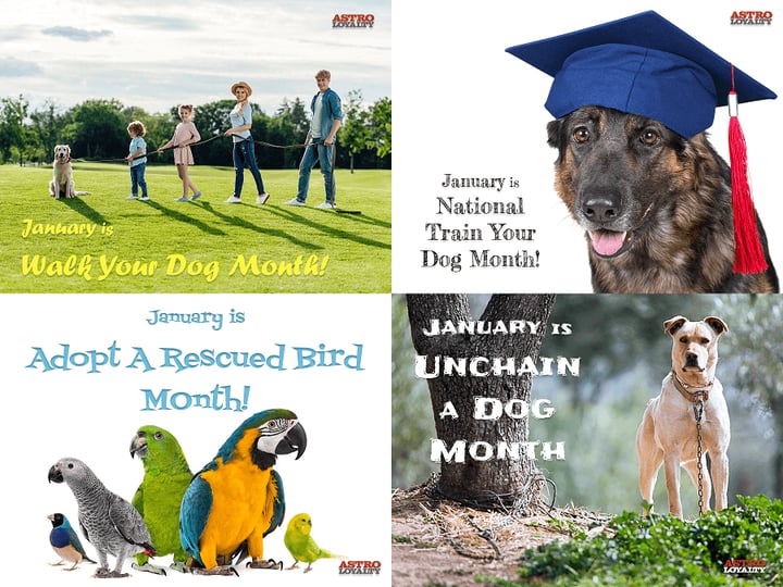 Promotion Calendar & Marketing Materials | JANUARY On-Going Holidays