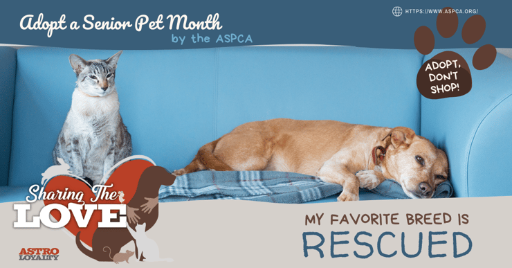 Adopt a Senior Pet Month. By ASPCA. (2)