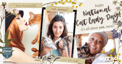 April 19 _ National Cat Lady Day