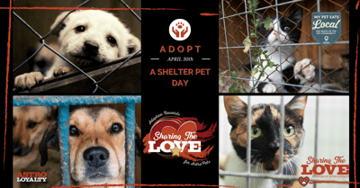 April 30_Adopt a Shelter Pet Day