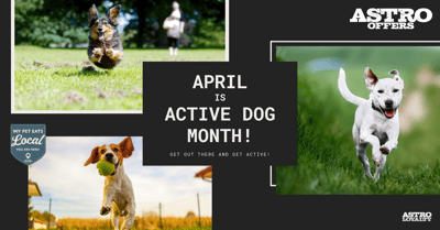 April Active Dog Month