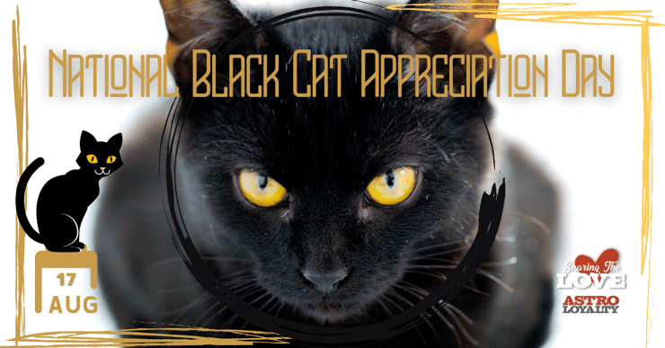 Aug. 17_ National Black Cat Appreciation Day