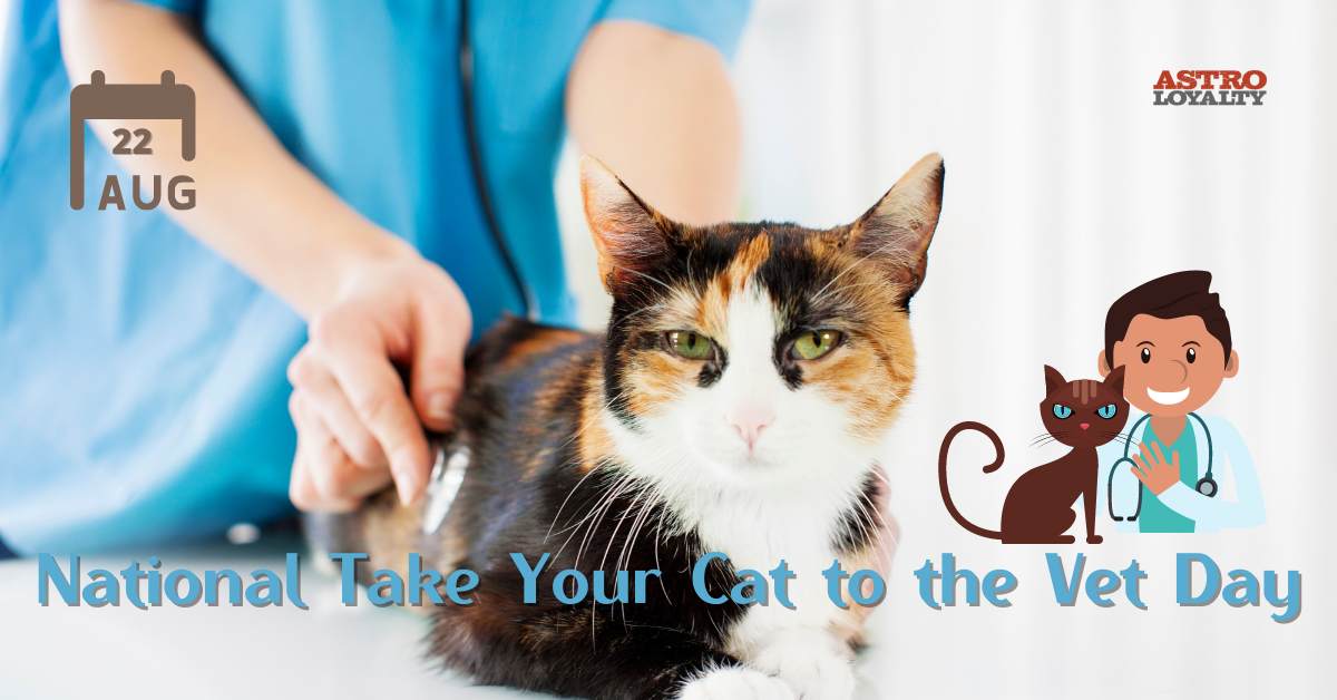 Aug. 22_ National Take Your Cat to the Vet Day