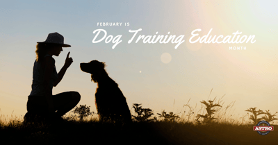 Dog Training Education Month