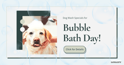 January Pet Holidays_Jan 8_Bubble Bath Day