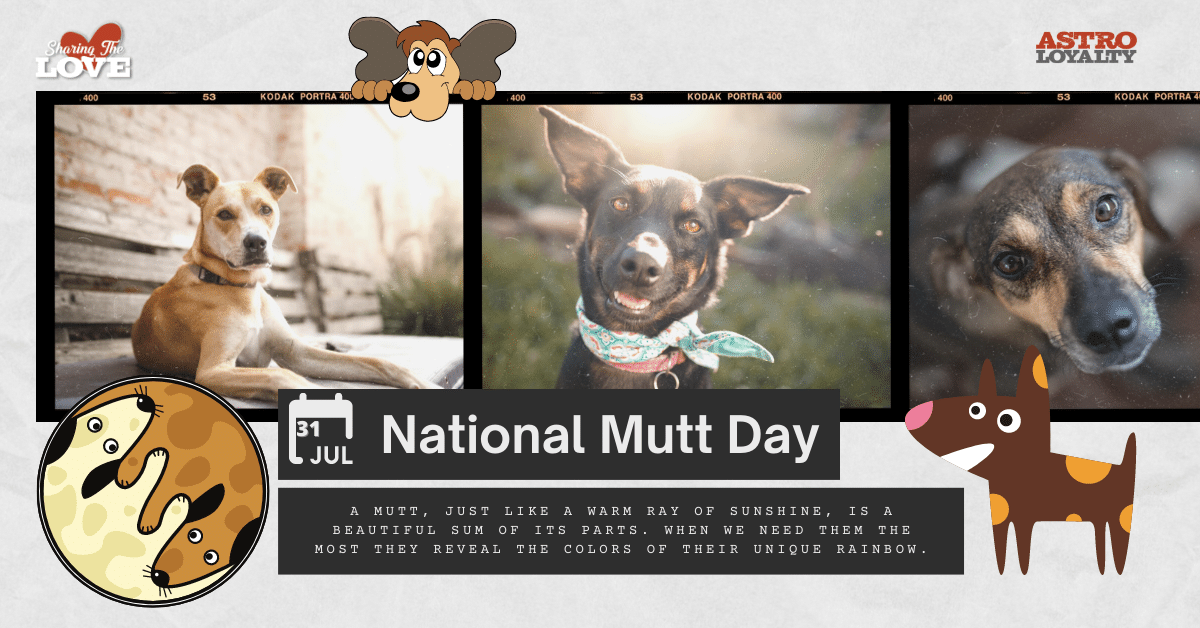 July 31_ National Mutt Day