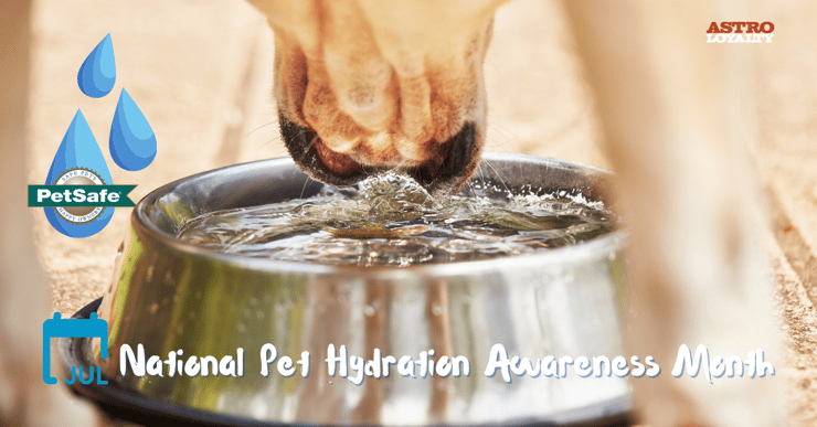 July _ National Pet Hydration Awareness Month-1