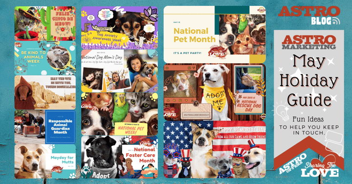 Pet Holiday Guide | May 2022
