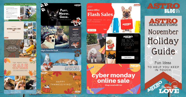 Pet Holiday Guide | November 2021