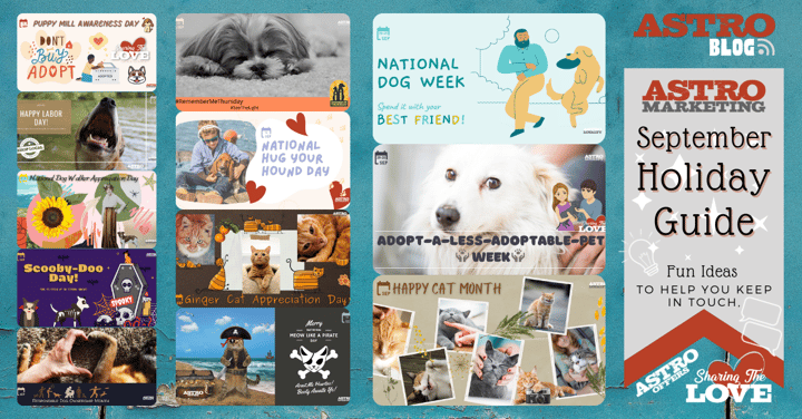 Pet Holiday Guide | September 2021