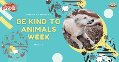 May 1-6 American Humane Be Kind to Animals Week