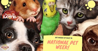 May 1-6_ National Pet Week
