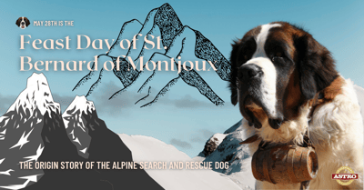 May 28_ Feast Day of St. Bernard of Montjoux