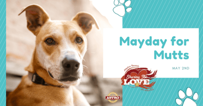 May 2_ Mayday for Mutts