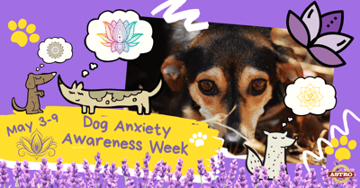 May 3-9_ Dog Anxiety Awareness Week