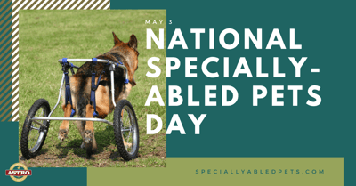 May 3_ National Specially-abled Pets Day
