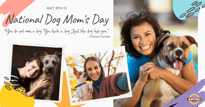 May 8 National Dog Moms Day