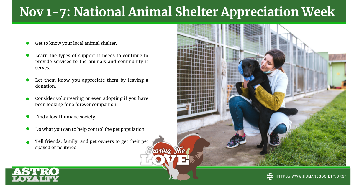 Nov. 1-7_ National Animal Shelter Appreciation Week