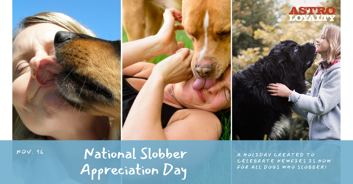 Nov. 16_ National Slobber Appreciation Day