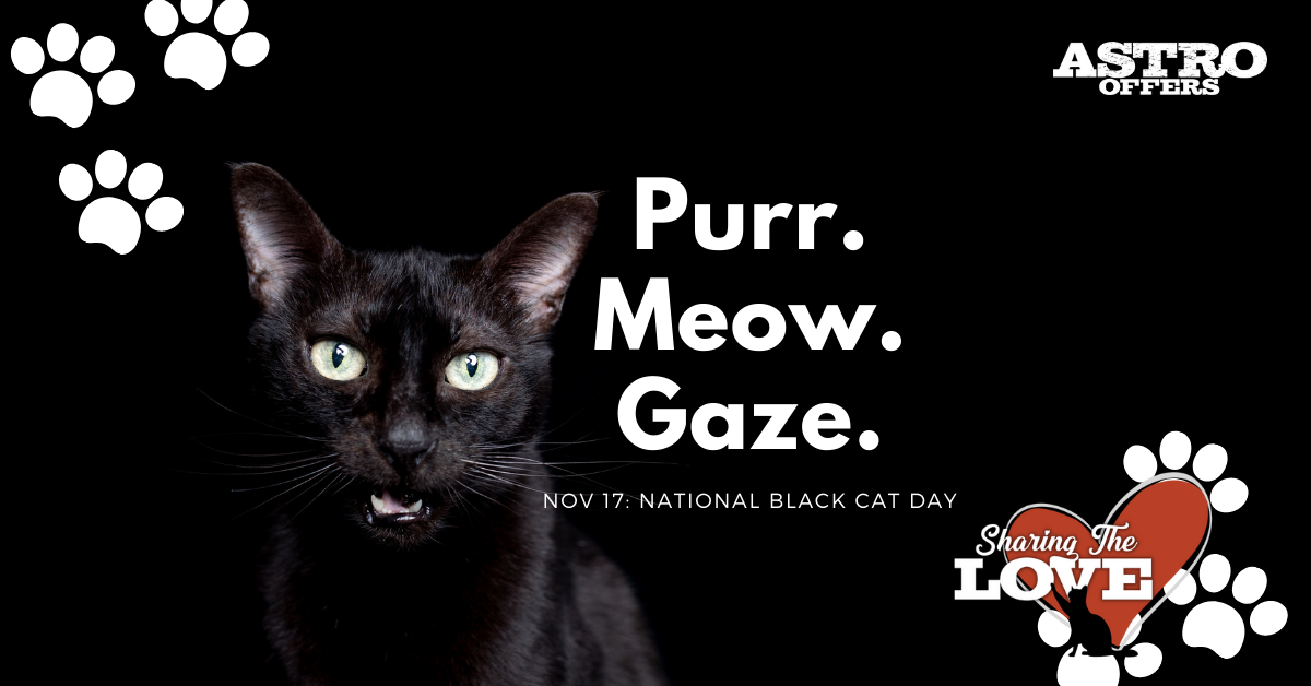 Nov. 17_ National Black Cat Day