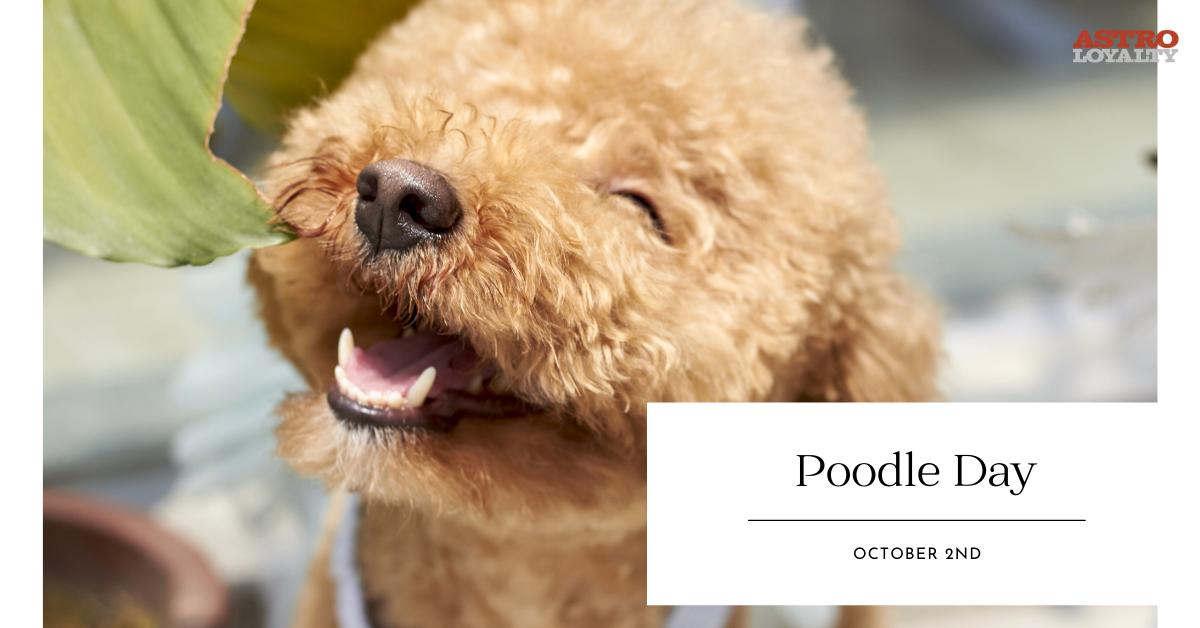 Oct. 2_ Poodle Day