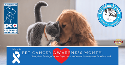 Pet Cancer Awareness Month