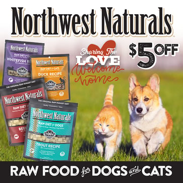 NWN Share the Love coupon