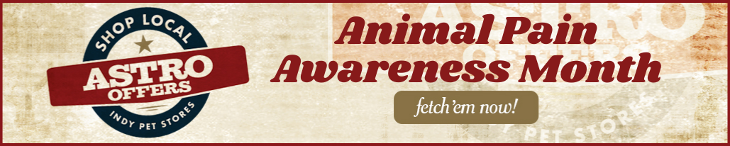 Astro Offer Pairings_Animal Pain Awareness Month