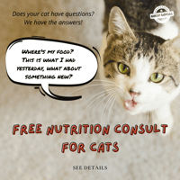 My Promotion_Answer Your Cats Question Day