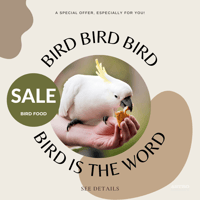 My Promotion_Bird Food Sale