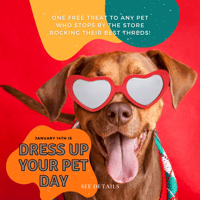 My Promotion_Dress Up Your Pet Day