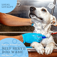Pet Wash Promo 1