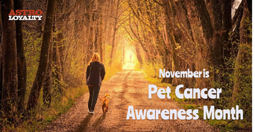 Pet Cancer Awareness Month