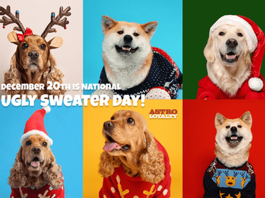 Dec 20th | National Ugly Sweater Day